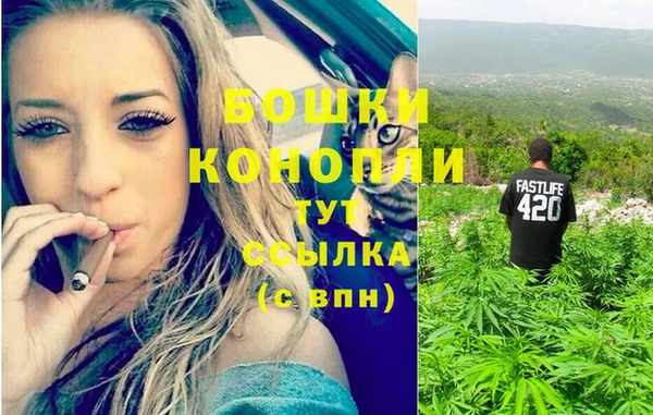 эйфоретик Беломорск